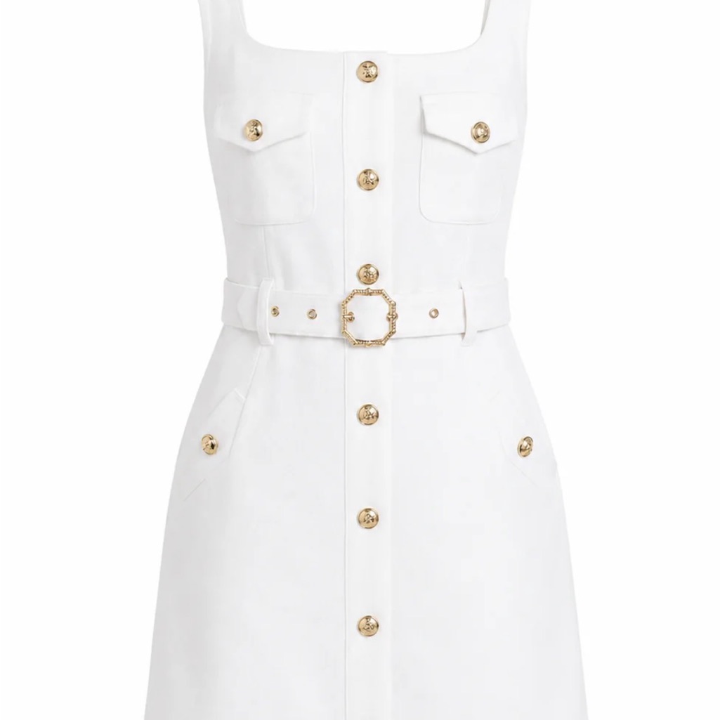 Karina Grimaldi Rylee Denim Mini Dress